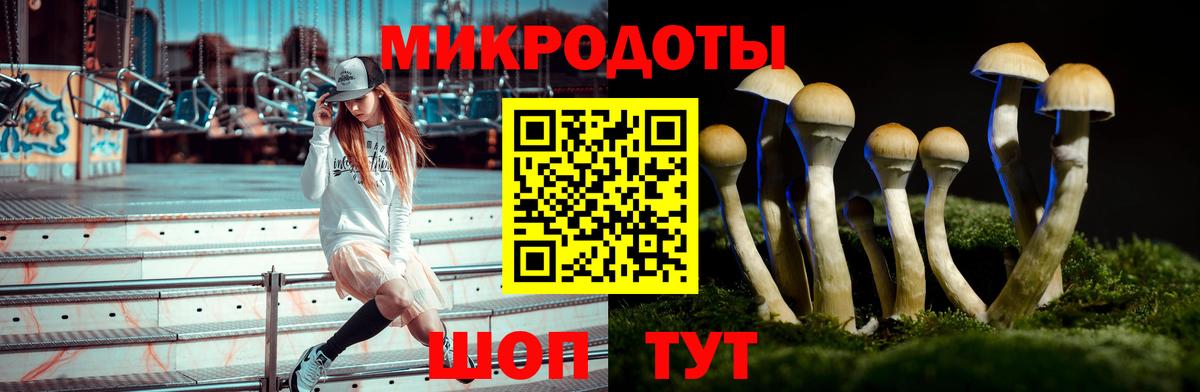 Галлюциногенные грибы Psilocybe  Вход с VPN  Галлюциногенные грибы Psilocybe  Лангепас 